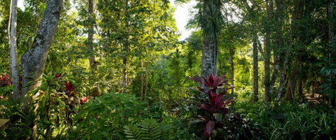 Sharlynn By The River - Tourism Caloundra 5