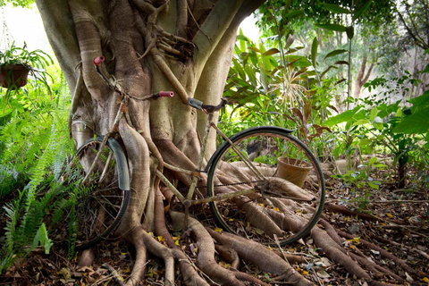 Sharlynn By The River - Tourism Caloundra 27