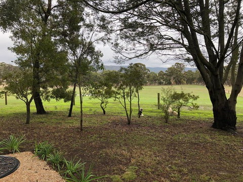 Willandra Tiny House - Tourism Caloundra 3