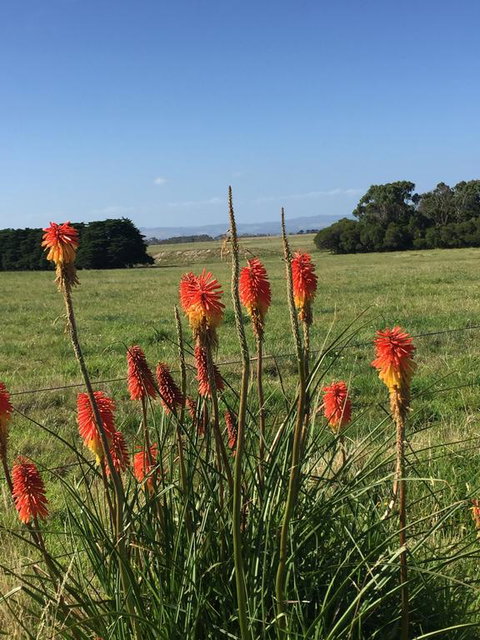 Yanakie Holiday House - Tourism Caloundra 2