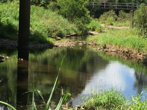 Yandina Caravan Park - Tourism Caloundra 2