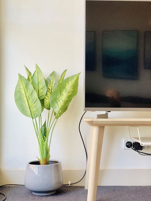 ZEN Homes On Collins - Tourism Caloundra 3