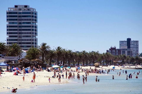 Albert Park Bespoke Brilliance 4Bed 2Bath - Tourism Caloundra 1