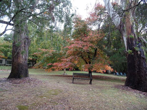 Alpine Riverside Cottages - Tourism Caloundra 4