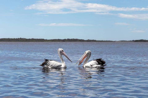 Amazing Ansons Bay Remote Paradise For The Family In The Bay Of Fires Area - Tourism Caloundra 2