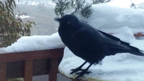 Aneeki Ski Lodge - Tourism Caloundra 1