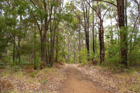 Ashleigh - In Town - Margaret River - Tourism Caloundra 4