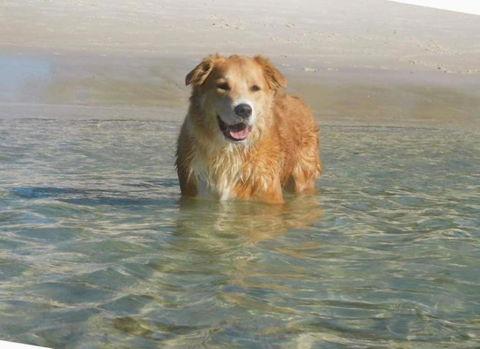 Away Nelson Bay, 29 Wollomi Ave - Spacious Family Home With Water Views, Pet Friendly, Wifi & Aircon - Tourism Caloundra 2