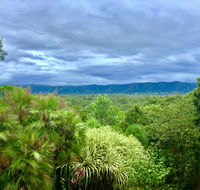 Daintree Manor BB - Tourism Caloundra