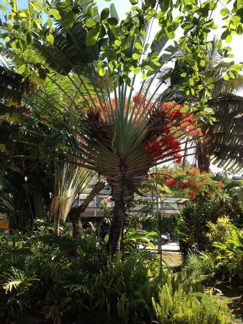 Port Douglas Apartments - Adults Only Oasis - Tourism Caloundra 39