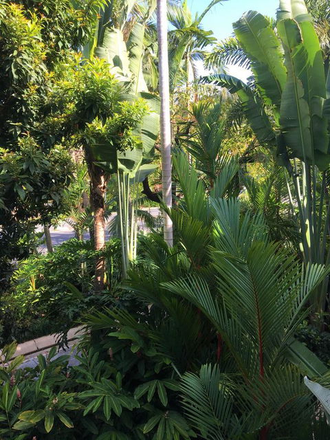 Port Douglas Apartments - Adults Only Oasis - Tourism Caloundra 1