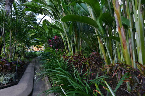 Port Douglas Apartments - Adults Only Oasis - Tourism Caloundra 9
