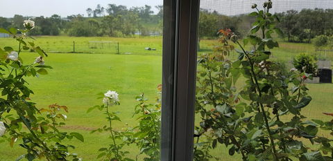 Hay Point Country BnB - Tourism Caloundra 6
