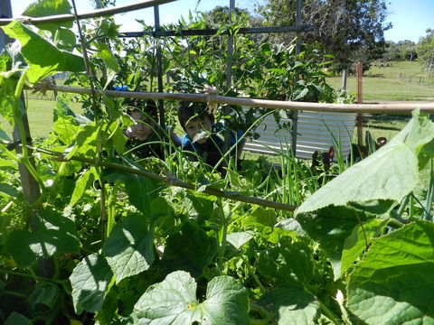 Hay Point Country BnB - Tourism Caloundra 17