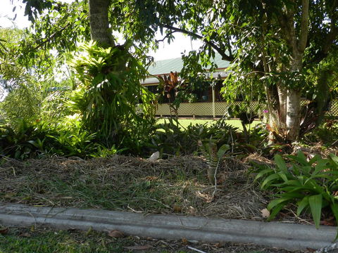 Hay Point Country BnB - Tourism Caloundra 23