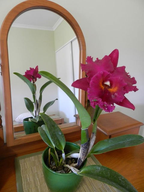 Hay Point Country BnB - Tourism Caloundra 10