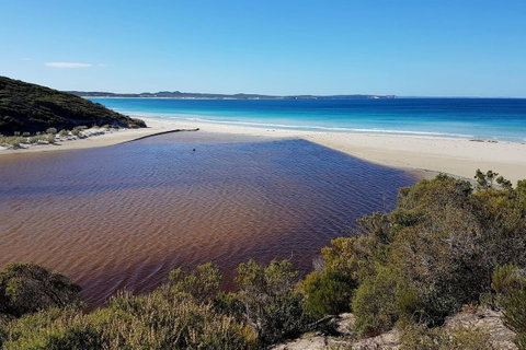 Vivonne Bay Island Getaway - Tourism Caloundra 21