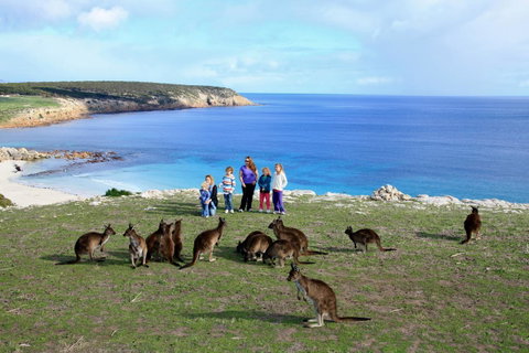 Waves & Wildlife Cottages Kangaroo Island - Tourism Caloundra 1