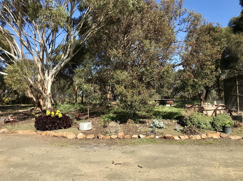 Beeâ€™s Place - 3 Bedroom Home On 10 Acres Of Land With Distant Ocean Views - Tourism Caloundra 15