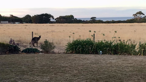 Beeâ€™s Place - 3 Bedroom Home On 10 Acres Of Land With Distant Ocean Views - Tourism Caloundra 23