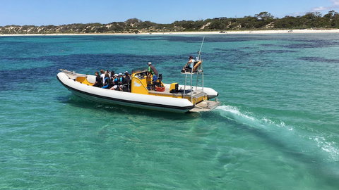 Beeâ€™s Place - 3 Bedroom Home On 10 Acres Of Land With Distant Ocean Views - Tourism Caloundra 29