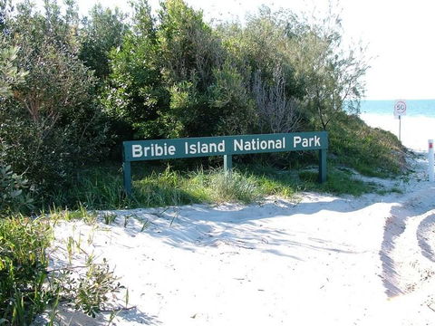 Waterfront At White Patch - Tourism Caloundra 28