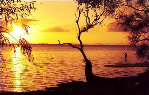Waterfront At White Patch - Tourism Caloundra 23