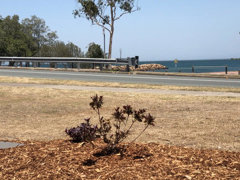 Bribie Waterways Motel - Tourism Caloundra 18