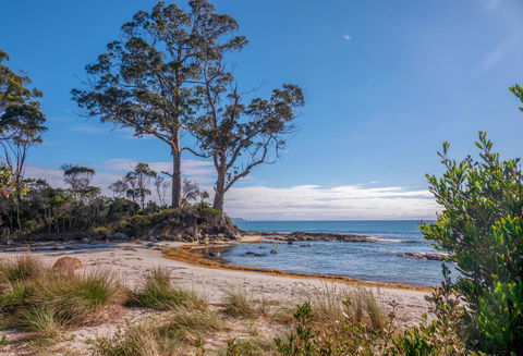 Adventure Bay Holiday Home - Tourism Caloundra 12