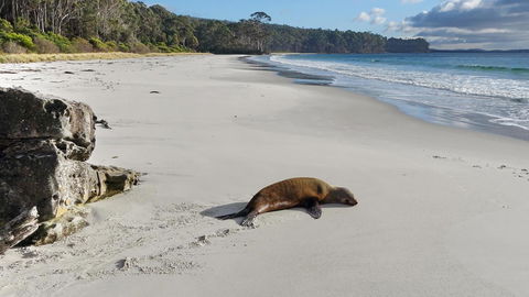 Adventure Bay Holiday Home - Tourism Caloundra 13