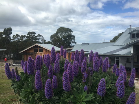 Bruny Island Lodge - Tourism Caloundra 5