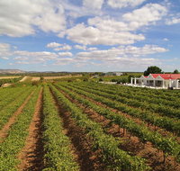 1837 Barossa Luxury Vineyard Cottages