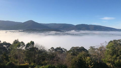 Beauty Of Healesville - Tourism Caloundra 3