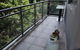 Carlingford One Bedroom - thumb 3