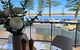 Casa Del Sol Caloundra - thumb 3