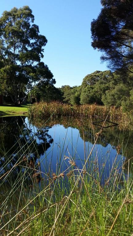 Crystal Springs Holiday Accommodation - Tourism Caloundra 0