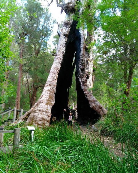 Crystal Springs Holiday Accommodation - Tourism Caloundra 3