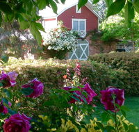 A Country Barn Retreat - Tourism Caloundra