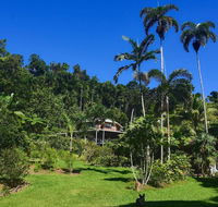 A Daintree Garden - Tourism Caloundra