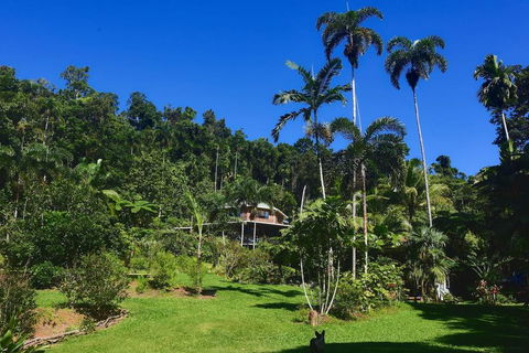 A Daintree Garden - Tourism Caloundra 0