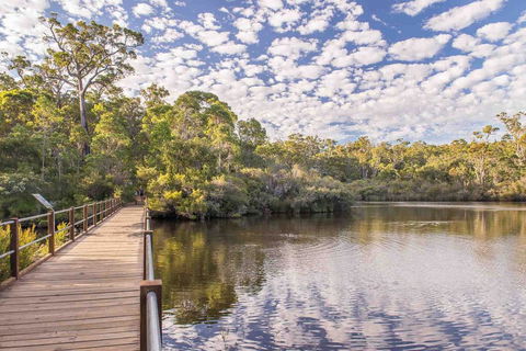 Abundance - Tourism Caloundra 0