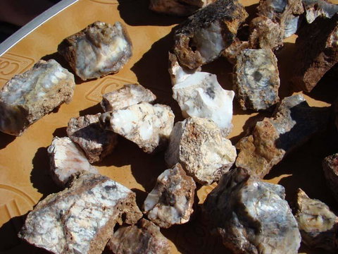 Acclaim Gateway Tourist Park - Tourism Caloundra 1