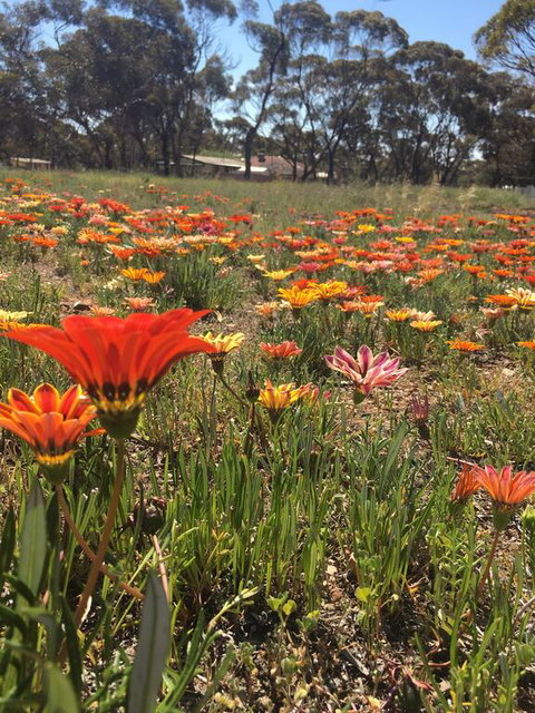 Acclaim Gateway Tourist Park - Tourism Caloundra 2