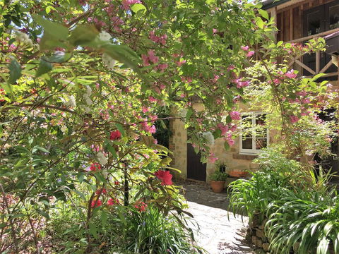 Adelaide Hills 'Camellia Cottage' - WiFi - Tourism Caloundra 2