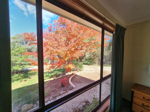 Golden Heritage Apartments Beechworth - Tourism Caloundra 4