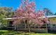 Golden Heritage Apartments Beechworth - thumb 1