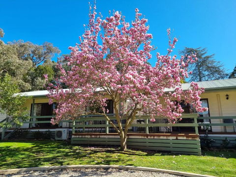 Golden Heritage Apartments Beechworth - Tourism Caloundra 1