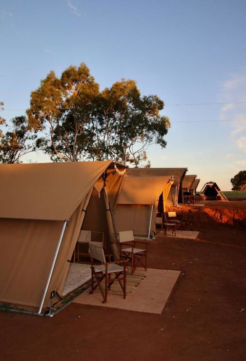Glamping At Buckland Estate - Tourism Caloundra 1