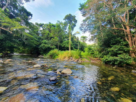 Gap Creek Cabin - Tourism Caloundra 2