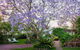 Garden Cottage - thumb 0